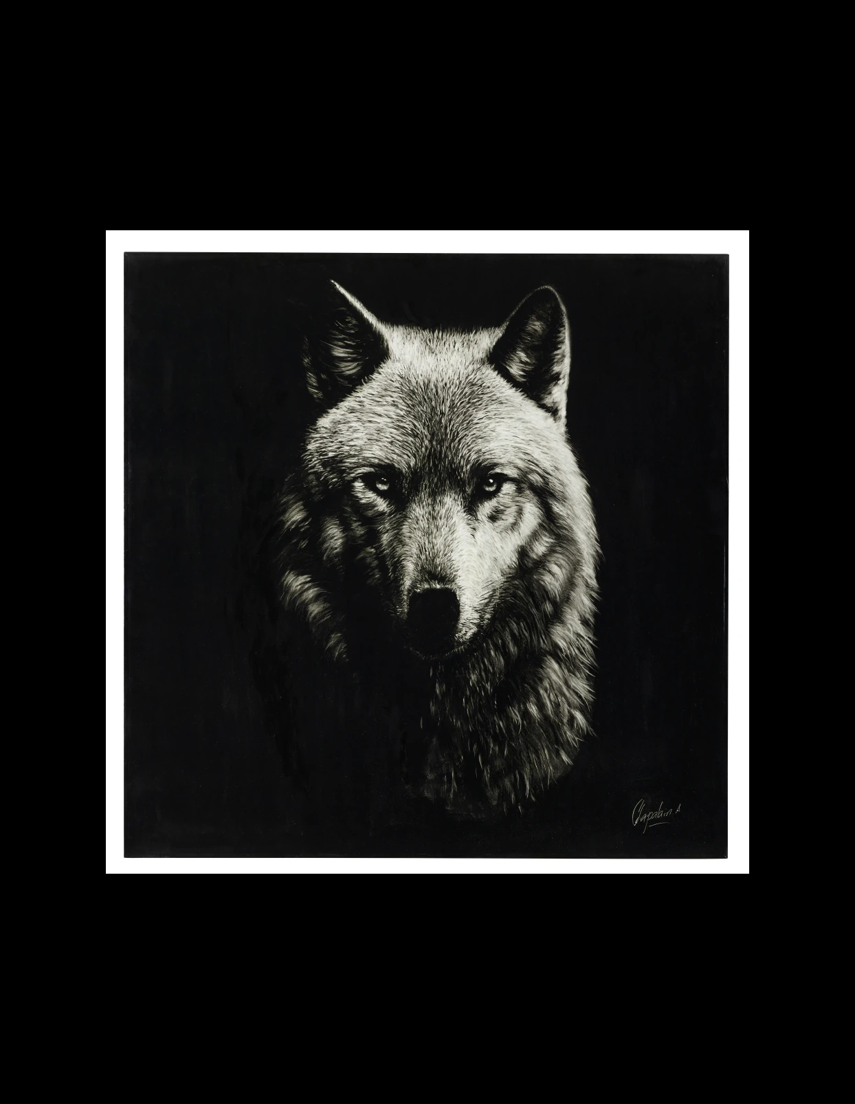 Loup 2