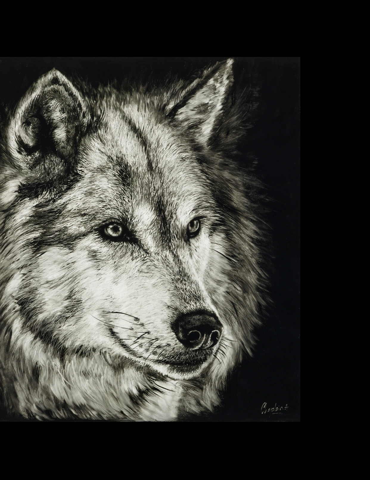 Loup — Arnaud Chapalain
