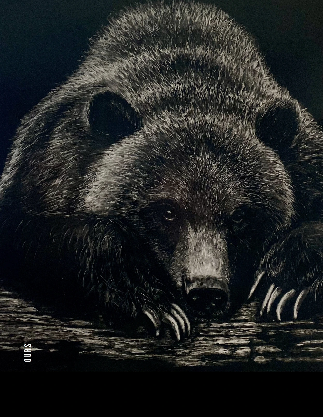 Ours 2