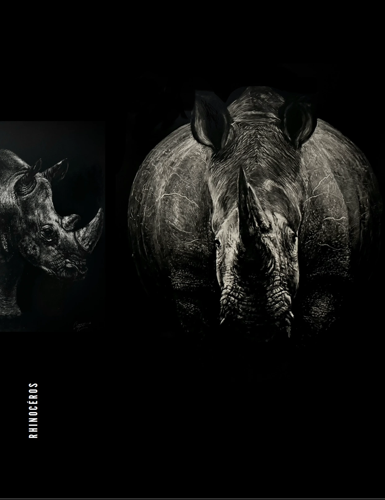Rhinocéros — Arnaud Chapalain