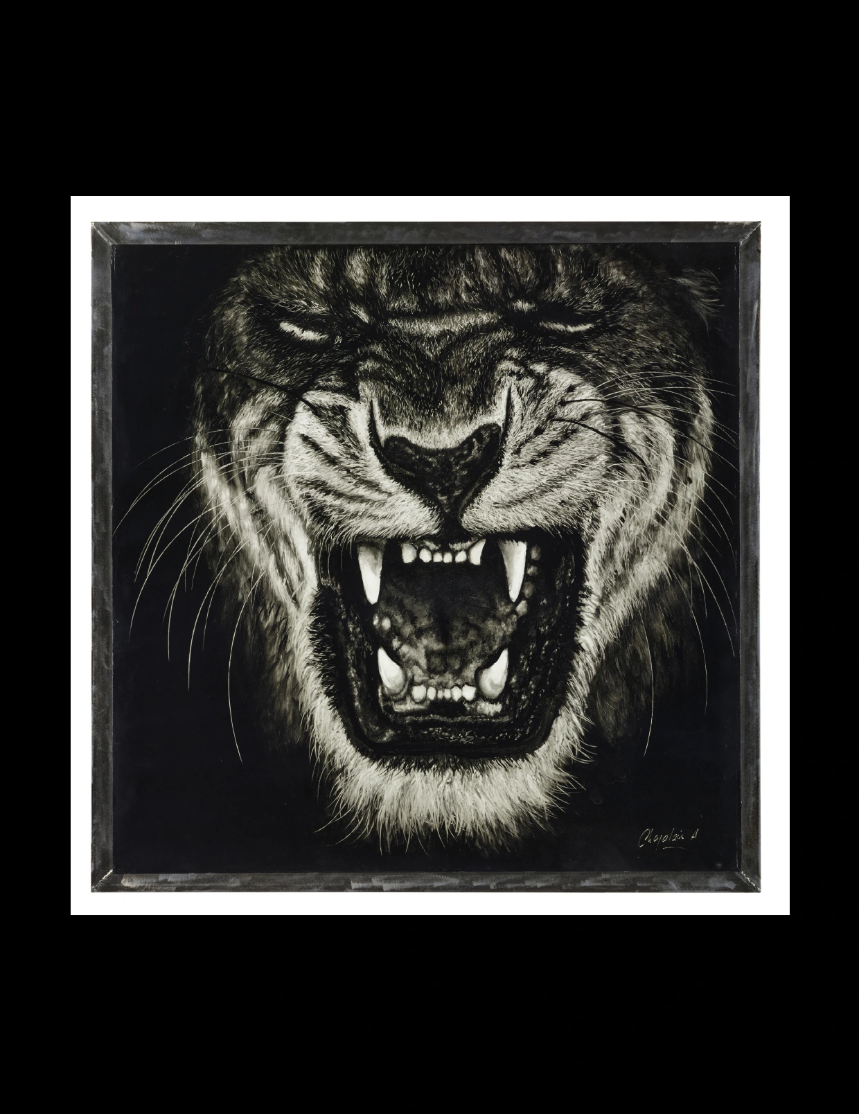 Tigre 2
