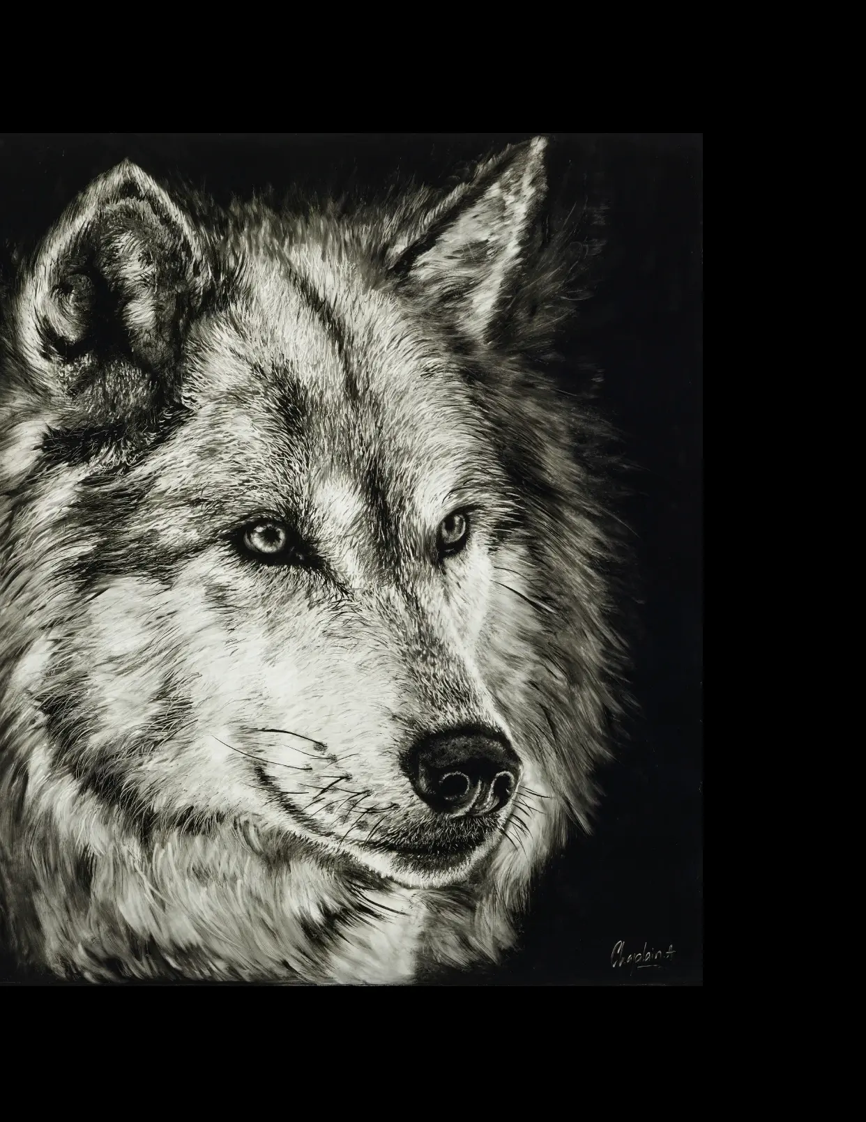 Loup — Arnaud Chapalain