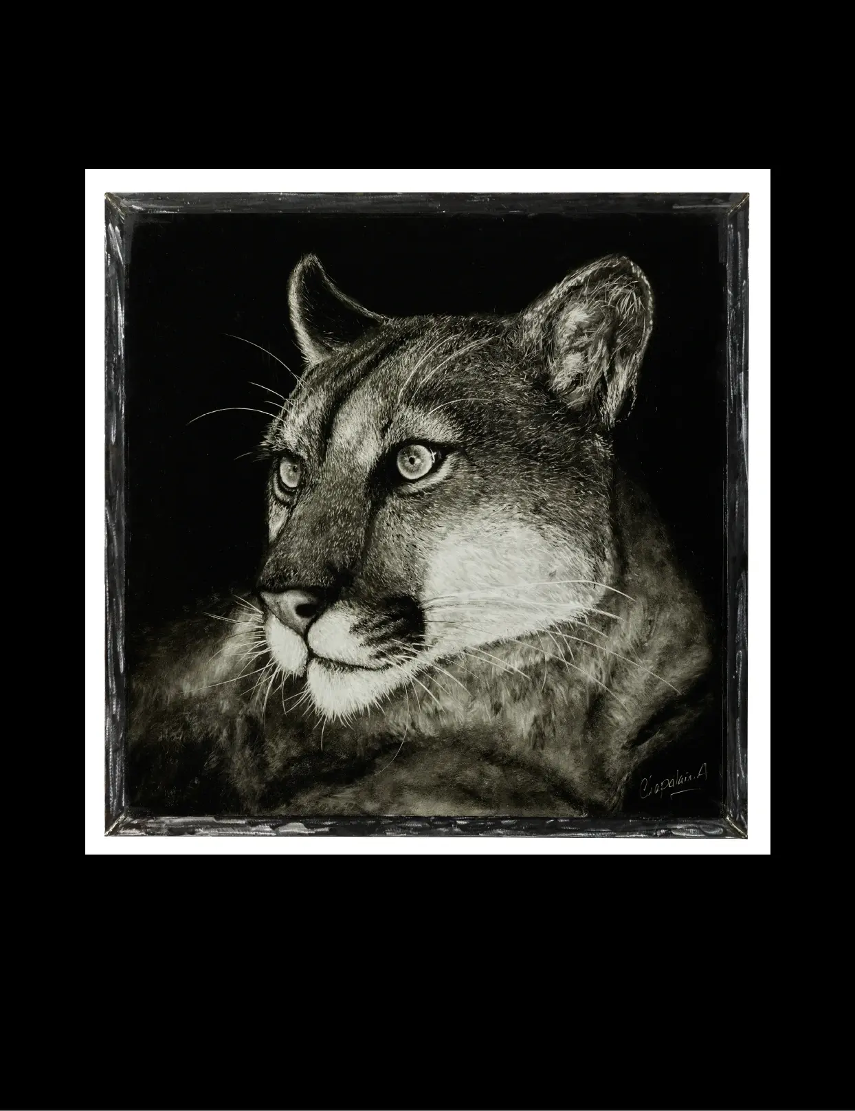 Puma — Arnaud Chapalain